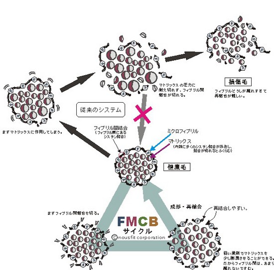 110406FMCBサイクルと従来パーマ1.jpg